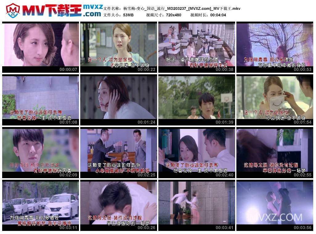 杨雪梅-变心_国语_流行_MD203237